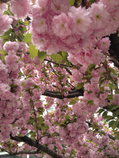 image-20120423163310.png